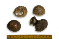 F 13023
<br/>
<br/>
<em></em>